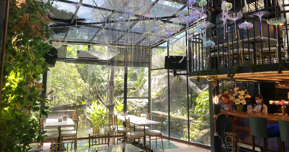 Area Five Cafe partnership with Freedom World & The Scape game